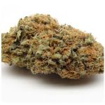 Шишки AK47 (Гидропоника, Бошка) VHQ в Чусовом Шишки AK47 (Гидропоника, Бошка) VHQ в Чусовом